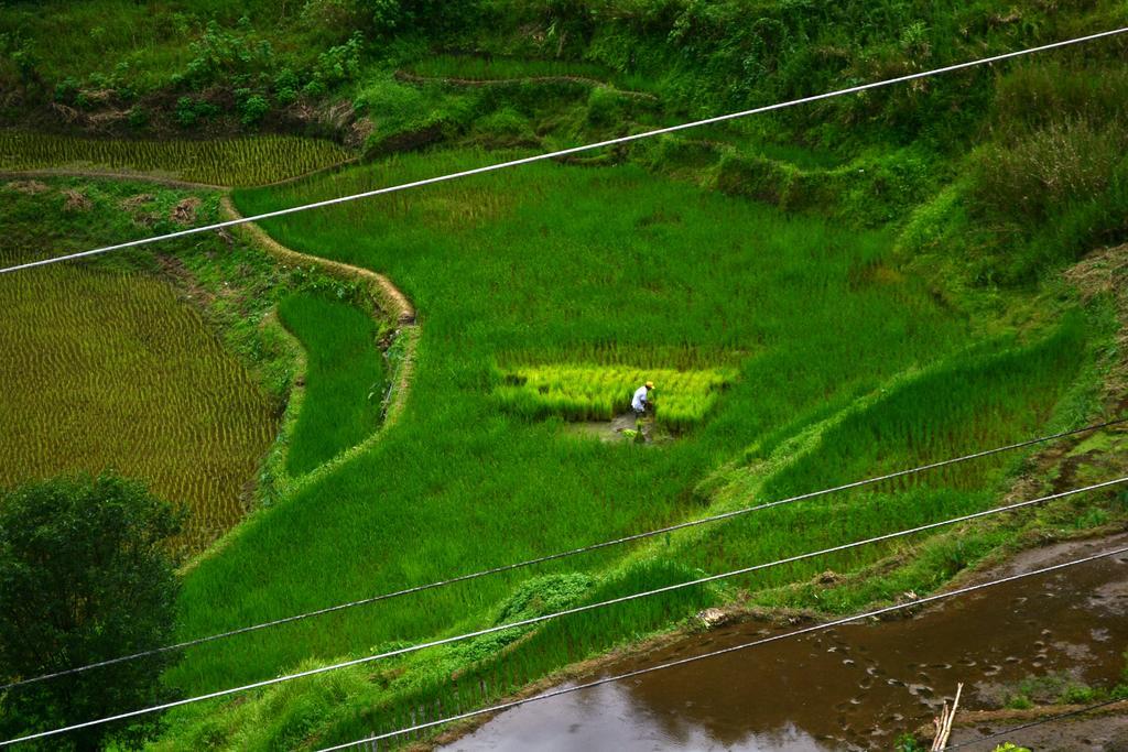 Banaue Greenfields Inn Exterior photo
